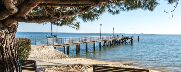 Cap Ferret