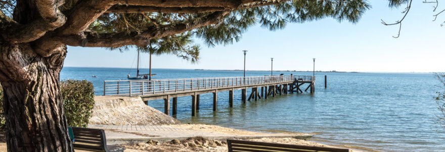 Cap Ferret